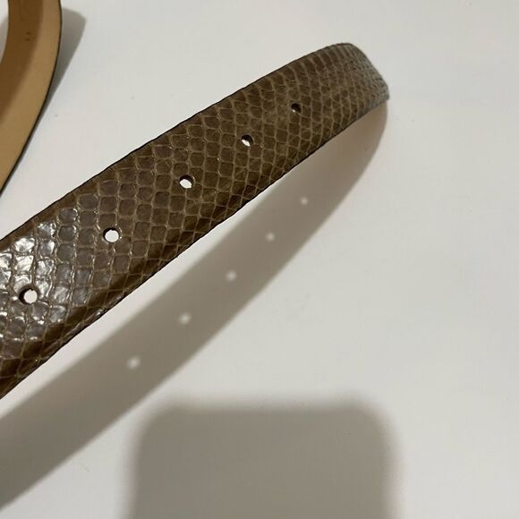 New Carlisle belt snake skin  beige leather buckle jeweled main image 11